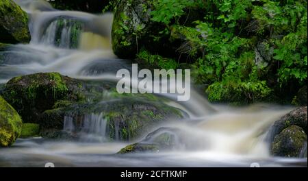 Detail von schönen Wasserfällen zwischen grünen moosigen Felsen, aufgenommen in einem Fluss in Charlevoix, Quebec Stockfoto