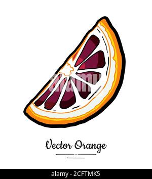 Orangefarbener roter Vektor isoliert. Rot orange geschnitten gehackte halbrunde Scheiben. Obst von Hand gezeichnet. Süßes vegetarisches Zitruslogo Stock Vektor