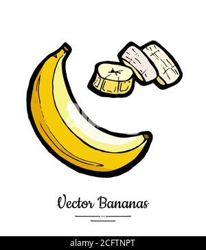Bananen setzen Vektor isoliert. Ganze geschälte gehackte Banane Scheibe Bündel Gelbe süße Frucht Sammlung Hand gezeichnet vegetarisch Stock Vektor