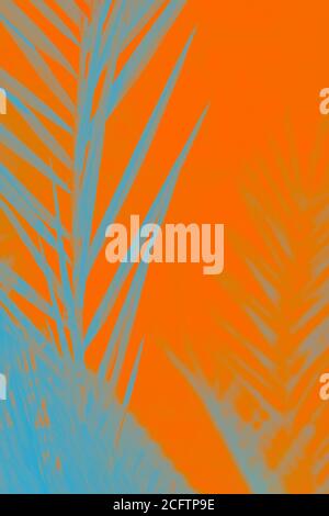 Blaugraue Dattelpalmenblätter auf lebhaft orange üppiger Lava Hintergrund Stockfoto