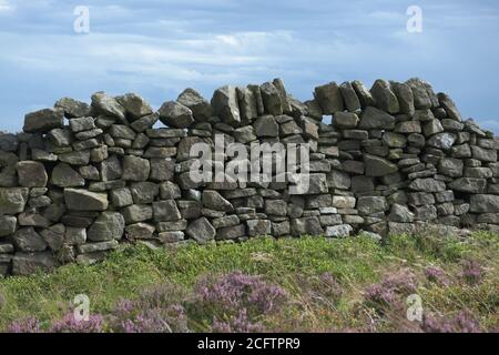 2 - einfaches Bild einer Trockensteinmauer im Gipfelbezirk. Rosa lila Heidekraut im Vordergrund und Pflanzen. Glatte blaue Wolken im Hintergrund. Stockfoto