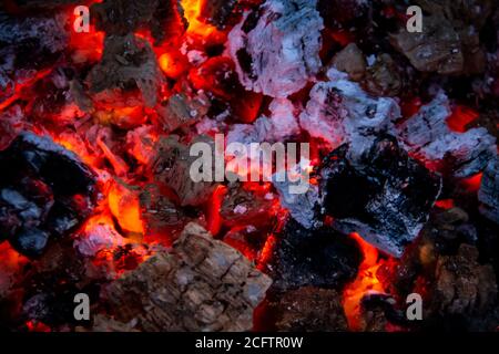 Brennende Kohlen. Nahaufnahme von verfallender Holzkohle, Grillsaison. Helle Blitze feuriger Flammen. Brennende heiße Kohlen und Holz in der Nacht. Rote Kohlen brennen Stockfoto