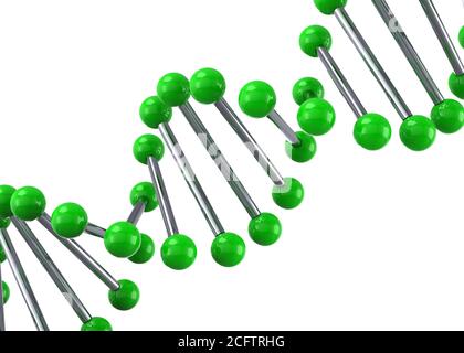 DNA-Molekül - 3D Stockfoto