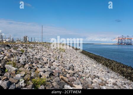 Die Nordseeküste in den Niederlanden. Holländische Landschaft mit Blick auf den Deich schützt vor Überschwemmungen Stockfoto