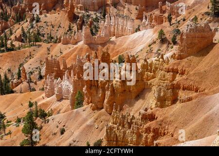 Detail von Hoodoos, Bryce Canyon National Park, Utah, USA Stockfoto