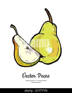 Birnen Früchte Vektor isolieren. Grüne Birne ganze gehackte Viertel Scheibe Hand gezeichnet Illustration vegetarische Symbol Logo Skizze Stock Vektor