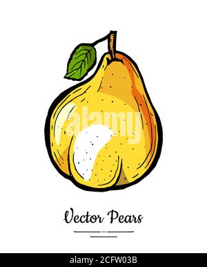 Birne Obst Vektor isolieren. Gelbe ganze Birne grünes Blatt. Früchte Hand gezeichnet Illustration Lebensmittel vegetarisch Symbol Logo Skizze Stock Vektor