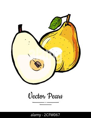 Birnen Früchte Vektor isolieren. Birne ganze gehackt halb geschnitten Scheibe Blatt Hand gezeichnet Illustration vegetarisch Symbol Logo Skizze Stock Vektor
