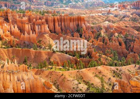 Blick auf Hoodoos vom Navajo Loop Trail, Bryce Canyon National Park, Utah, USA Stockfoto