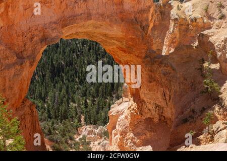 Natürliche Brückenbogen, Bryce-Canyon-Nationalpark, Utah, USA Stockfoto