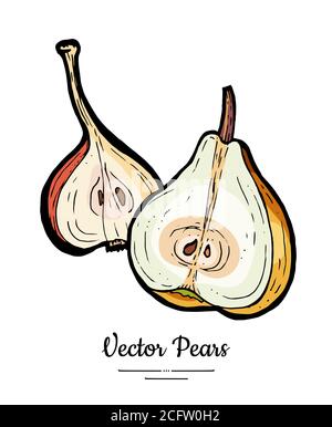 Birnen Obst Vektor isolieren. Gelbe Birne ganze gehackt halb geschnitten Scheibe Hand gezeichnet Illustration vegetarisch Symbol Logo Skizze Stock Vektor