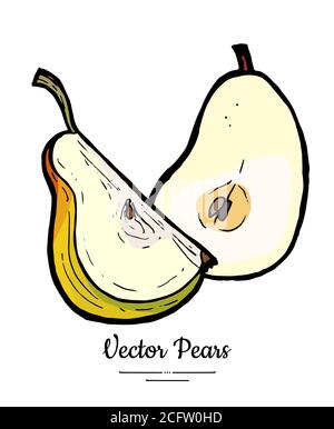 Birnen Früchte Vektor isolieren. Grüne Birne halb geschnitten gehackt Viertel Scheibe Hand gezeichnet Illustration vegetarische Logo Skizze Stock Vektor