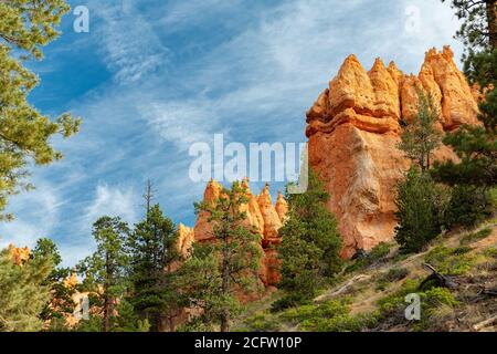 Hoodoos auf einem Hügel, Bryce Canyon National Park, Utah, USA Stockfoto