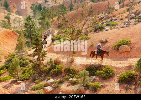 Gruppen Reiten auf dem Trail im Bryce Canyon National Park, Utah, USA Stockfoto