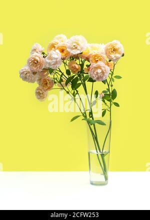 Ein Bouquet von Pastell rosa Rosen in einer transparenten Glasvase auf hellgelben Hintergrund. Kreative Grußkarte. Stockfoto