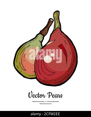Birnen Früchte Vektor isolieren. Rote grüne ganze Birnen. Abbildung der gezeichneten Früchte. Trendige Lebensmittel vegetarische Ikone Logo Skizze Stock Vektor
