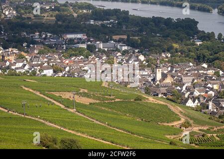 Schöne Hanglagen Weinberge entlang des Rheins bei rüdesheim und Das niederwalddenkmal in Deutschland Stockfoto