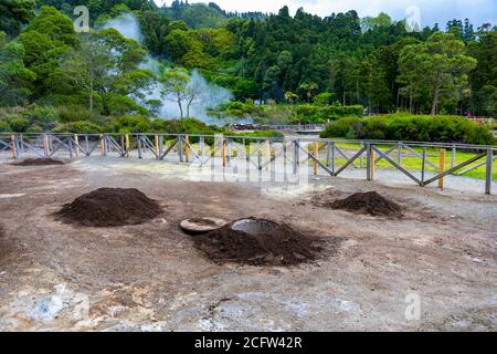 Kochen von Cozido das Furnas Mahlzeit, Sao Miguel, Azoren. Loch in den Boden zum Kochen Cozido das Furnas, ein Fleischeintopf, der durch den vulkanischen Dampf aus gekocht wird Stockfoto