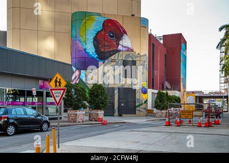 Wandgemälde in Darwin City, Australien Stockfoto