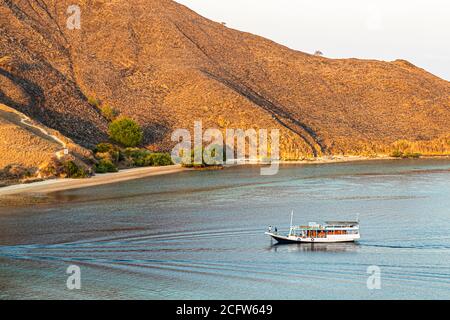 Ein Boot zieht eine Spur im Abendlicht vor der Küste des Komodo-Nationalparks, Ost-Nusa-Tenggara, Indonesien, mit einem einzelnen Passagier am Bug. Stockfoto