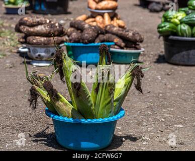 Frische Maiskolben, Taro-Wurzeln und Süßkartoffeln liegen in Plastikschüsseln auf dem Boden eines Marktes nahe Ende, Flores, Indonesien. Stockfoto