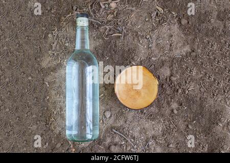 Draufsicht auf Flasche mit kristallinem Likör wie Wodka, Tequila oder Mezcal mit Jicara auf fruchtbarem Boden Stockfoto