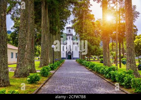 Kirche von Sao Nicolau (Saint Nicolas) mit einer Allee von hohen Bäumen und Hortensien Blumen in Sete cidades auf Sao Miguel Insel, Azoren, Portugal. Gemeinde Stockfoto