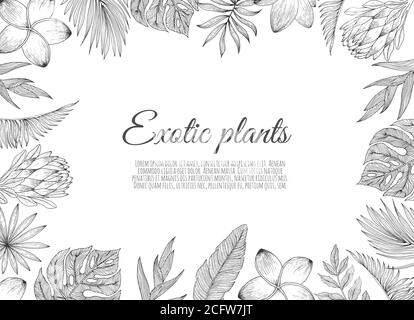 Tropic Blätter und Blumen Hintergrund mit Rahmen für Ihren Text. Stock Vektor