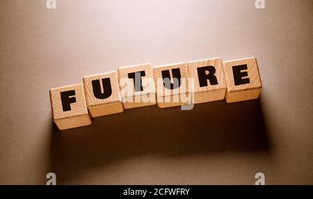 Future Word geschrieben auf Holzwürfel Stockfoto