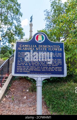 Montgomery, AL / USA - 27. August 2020: Historischer Marker für Kamelie Designated Alabama's State Flower Stockfoto