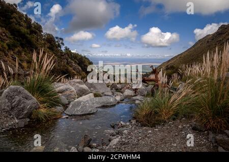 Bewaldete Berghang in niedrig liegenden Wolke der malerischen Landschaft Blick auf einen Schmelzwasserpfad, der durch große Felsen führt Stockfoto