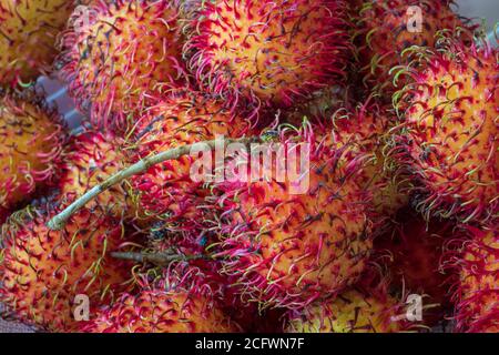 Nahaufnahme von Rambutan Stockfoto