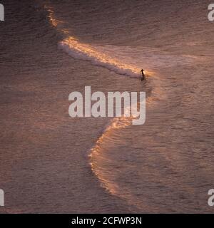 Ein eineinmaliges Surfer reitet eine Welle während des Sonnenuntergangs im Pazifischen Ozean in Palos Verdes, Südkalifornien Stockfoto