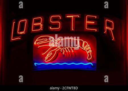 Neonschilde und Ikone mit Hummer Stockfoto