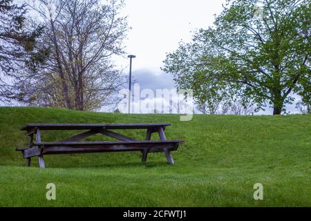 Holzpflanze Parkbank auf hügeligen Rasen mit Bäumen Und blauer Himmel Stockfoto