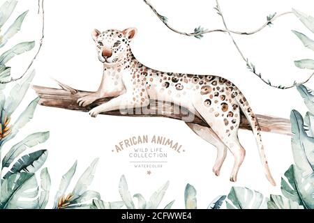 Aquarell Malerei ein gepard . Wilde Katze isoliert auf weißem Hintergrund. Afrika Safari Leopard Tier Illustration Stockfoto
