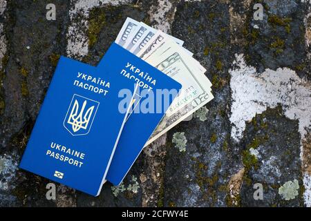 Viele Dollar und zwei ukrainische blaue biometrische Pässe. Stockfoto