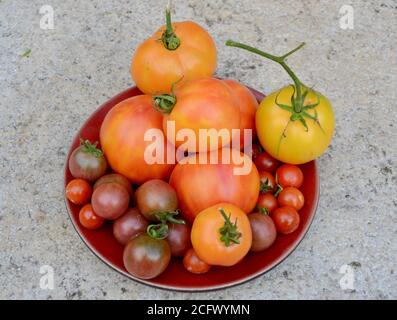 Verschiedene hausgemachte Tomaten auf einem Teller london UK Stockfoto