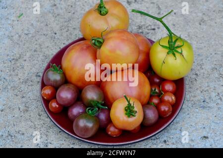 Verschiedene hausgemachte Tomaten auf einem Teller london UK Stockfoto