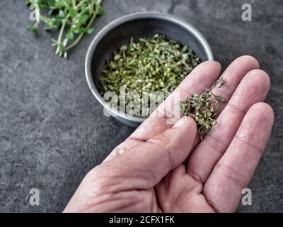 Getrockneter Thymian in Metallschale und Frauenhand mit Thymianblättern. Overhead-Ansicht mit Kopierbereich. Stockfoto