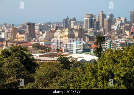 Gebäude im Stadtzentrum von Durban, wie von berea mit Bäumen gezeigt Im Vordergrund Stockfoto