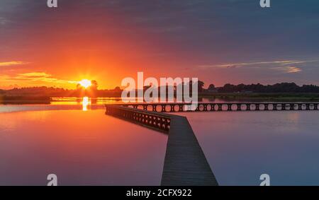 Naturgebiet 't Roegwold, in der Nähe von Schildwolde in der Provinz Groningen, Niederlande Stockfoto