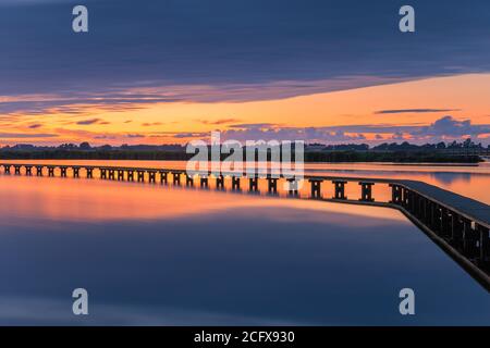 Naturgebiet 't Roegwold, in der Nähe von Schildwolde in der Provinz Groningen, Niederlande Stockfoto