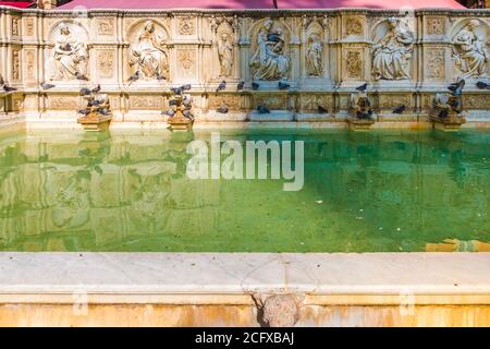 Nahaufnahme des monumentalen Brunnens Fonte Gaia auf der Piazza del Campo von Siena, Italien. Der Brunnen ist in der Mitte mit einer Madonna und... Stockfoto