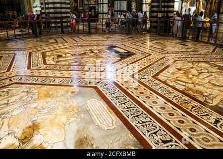 Herrliche Nahaufnahme des eingelegten Marmormosaikbodens des Querschiffs in der Kathedrale von Siena. Die sechseckig geformten Platten stellen Sibyllen, Szenen... Stockfoto