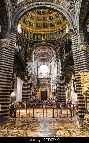 Herrliche Aussicht auf das Mittelschiff in Richtung der Eingangstür im Inneren des Duomo di Siena. Besucher bewundern den Marmormosaikboden, die schwarz-weißen... Stockfoto