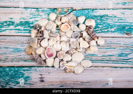Muscheln Haufen gegossen auf einem blauen hölzernen Hintergrund. Flache Lay.Copy spaes. Stockfoto