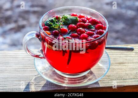 Eine Tasse Hagebutten-Tee (Rosa canina). Stockfoto