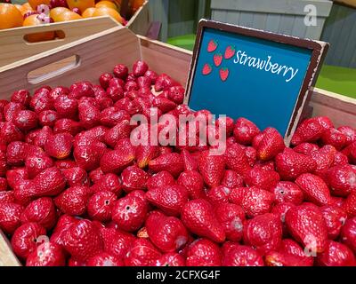 Künstliche rote Erdbeeren in einer Holzkiste als Marktdesign auf dem Hintergrund von anderem Gemüse und Obst, weicher Fokus. Stockfoto