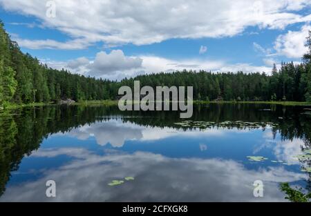 Szene am Wanderweg im Nuuksio Nationalpark, Espoo, Finnland. Stockfoto